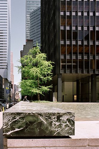 The Seagram Building in NYC by Mies van der Rohe. Photo by Hagen Stier.