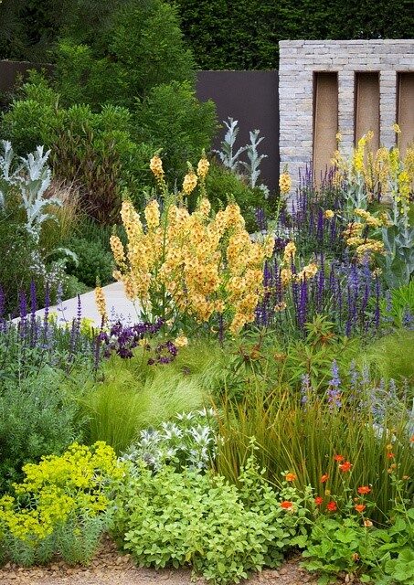 landscape, landscaping, plant combination and complements