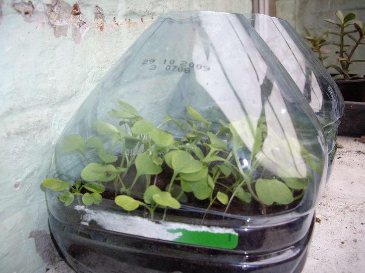 Small green house DIY – by Chtinico on Instructables