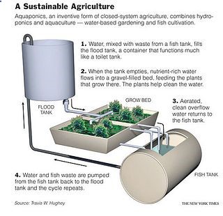 a sustainable agriculture
