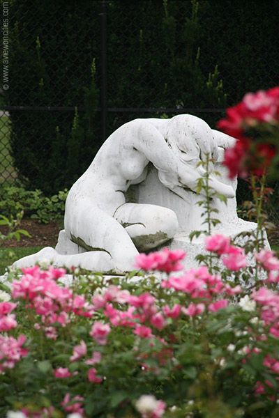 Statue framed by roses, Kelleher Rose Garden in the Back Bay fens.