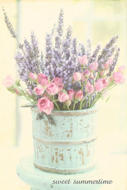 Lavender and Roses