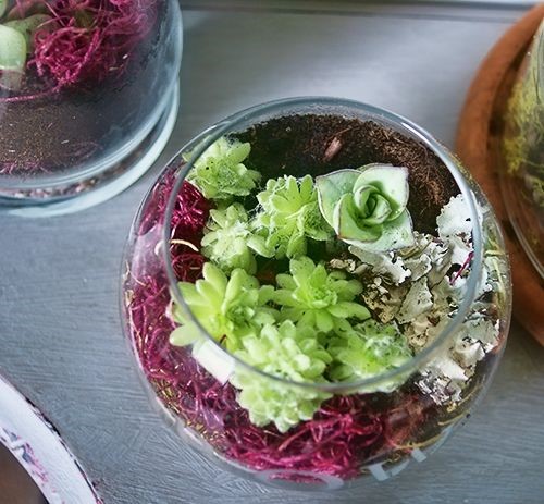 How to Make a terrarium, DIY @savedbyloves
