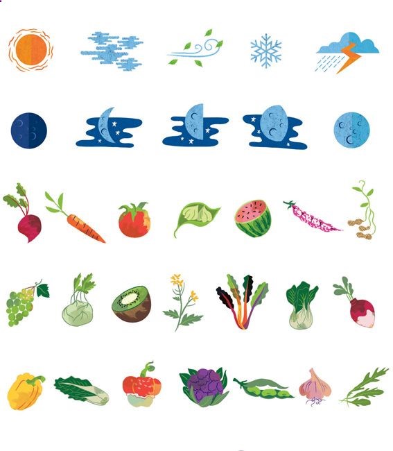 The Garden Planner – eirianchapman