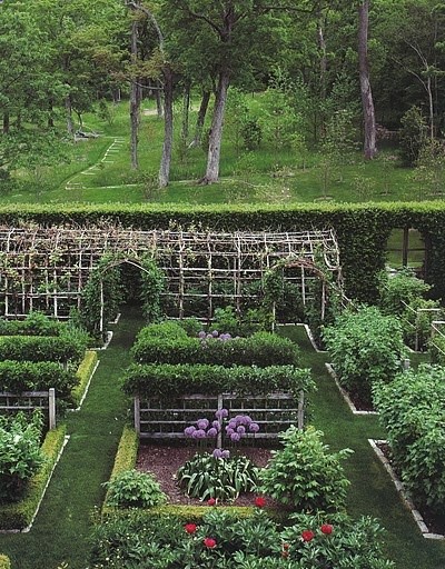 Veggie garden…wow!