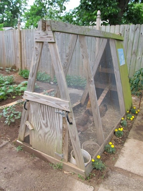Chicken coop on a budget