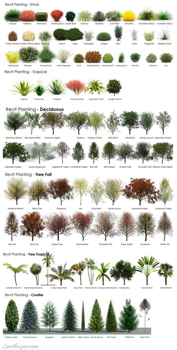 plants for lanscaping garden landscape gardening idea gardening ideas gardening decor gardening decorations exterior design ideas