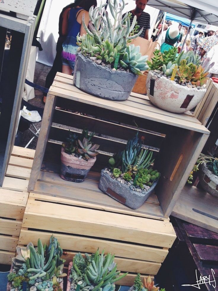 Succulents by RotdCreations | Inspiration Nook