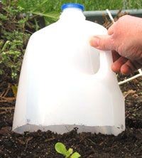25 No-Cost (or Low-Cost) Garden Tools – some really great tips about gardening