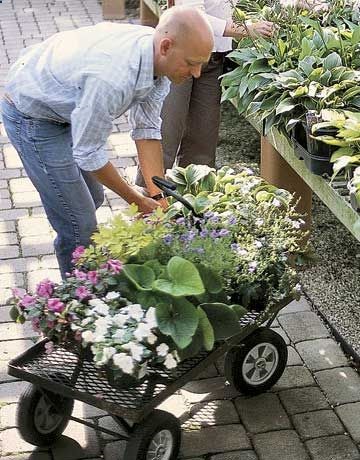 Know what grows best in your region – if you dont …ask a nurseryman