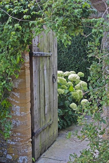That door to a walled garden is charming. And let’s not overlook the hydrangea, either.