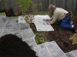 Start putting in your plants; work the nutrients into your soil. Wet newspapers and put layers around the plants overlapping as you go; cover with mulch and forget about weeds. Weeds will get through some gardening plastic; they will not get through wet newspapers.