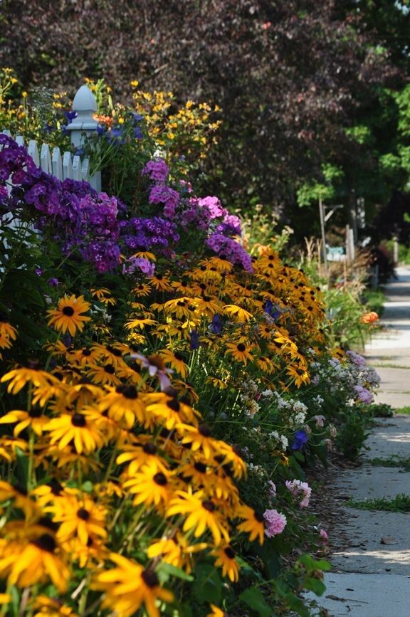 sidewalk, side yard, front yard, less grass, flowers, gardening, landscaping, brighten your day