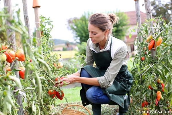 10 Veggies and Herbs to Plant This Spring – Plus, weve included 10 clean eating recipe suggestions.