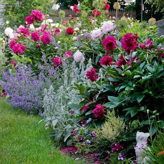 Plant Types Get to know the types of plants. Then learn how specific plants typically behave and what they can add to your garden. For instance, trees and shrubs form the foundation of a garden. Choose plants for disease and pest resistance, extreme-weather tolerance, and other desirable traits.