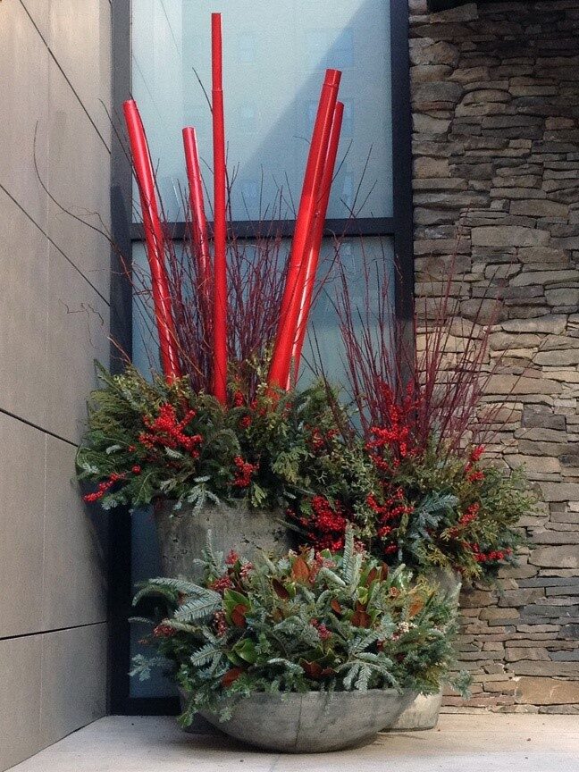Winter, decor, outdoor, container, planter, front door, evergreen, bamboo poles, red, urban, garden, design, landscape