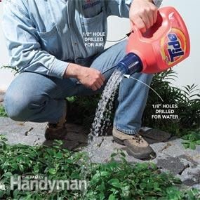 Home Gardening Tips: Easier Weeding and Watering