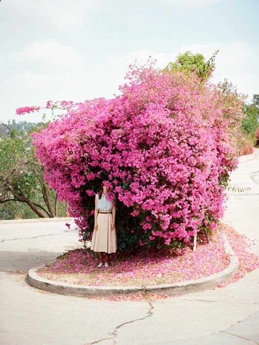 hansel from basel // bougainvillea