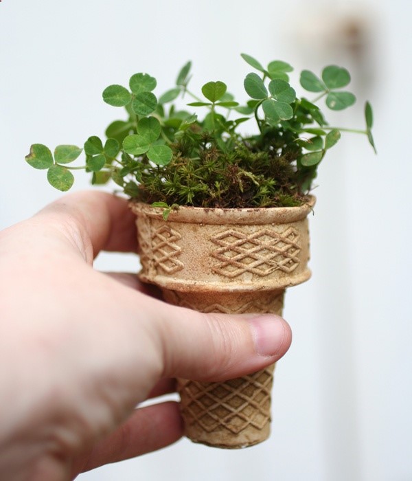 start seeds in ice cream cones and plant in to ground….I love this!!