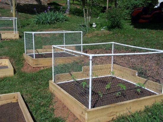 Raised Garden fence Idea