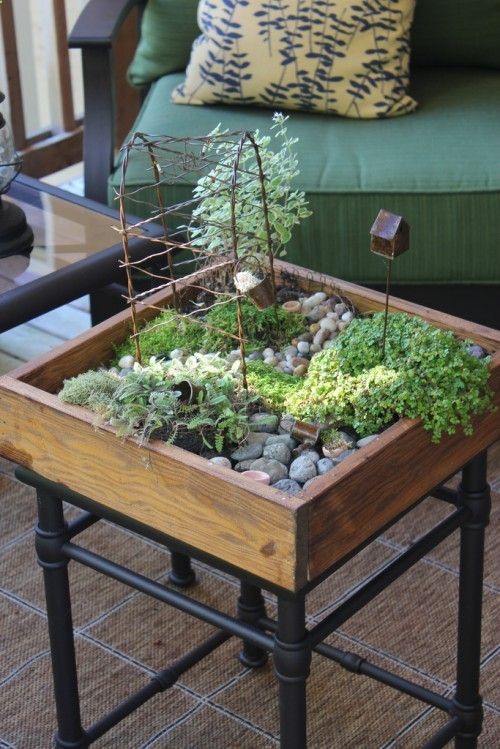 Tabletop gardens. Fill a pretty container with soil and use it to create a miniature garden in your home. These can be both seasonal and fanciful: in Winter, for instance, you could imagine a gnome garden with moss, evergreen twigs, and quartz crystals to evoke ice.