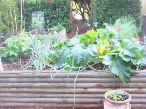 How to build a raised garden bed with landscape timbers