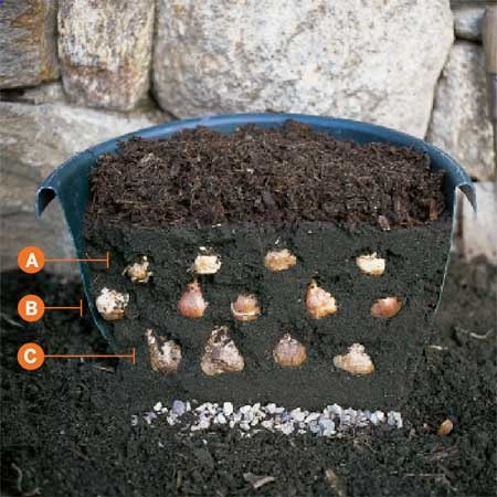How to Sandwich Bulbs for Six Weeks of Blooms ! Follow this container recipe for continuous year round color !