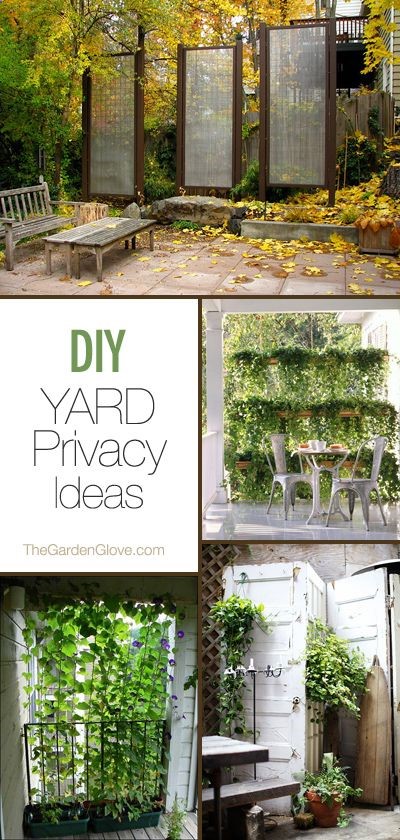 DIY Garden  Yard Privacy  ideas  tutorials!