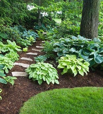 Wanting bigger and better out of your gardens this year? Check out these 20 secrets to landscape success!