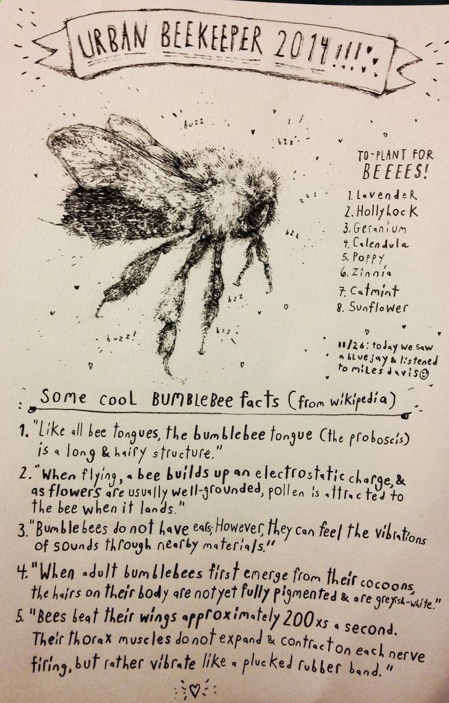 modernhepburn:  ornithoscelidaphiliac: made an art about bees