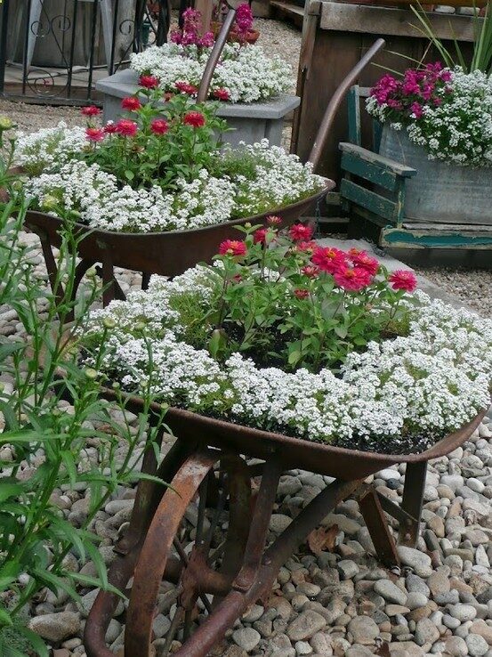 Gorgeous Flowers Garden  Love  old wheelbarrow plan Flowers Garden Love