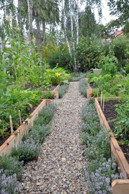 Raised beds