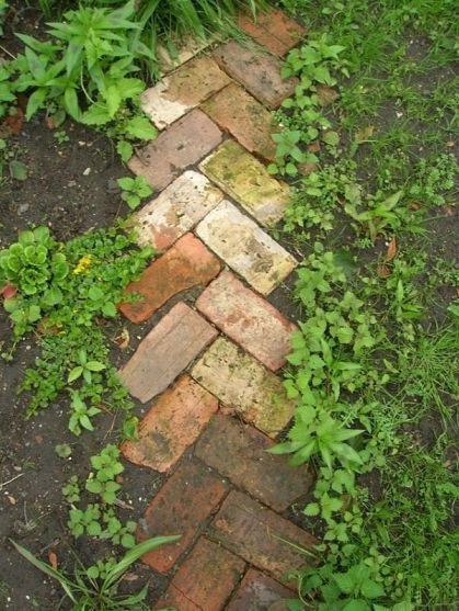 I kind of like this idea, especially for an herb garden edging …