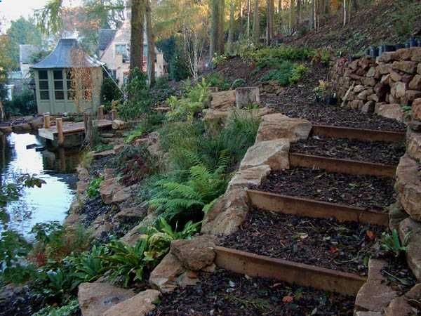 Back Yard Ideas BEautiful #REalPalmTrees Wooden Outdoor Stairs and Landscaping Steps on Slope, Natural Landscaping Ideas