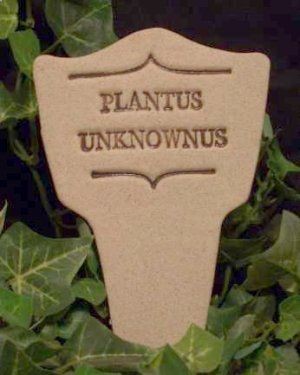 We have quite a few of these in the garden…