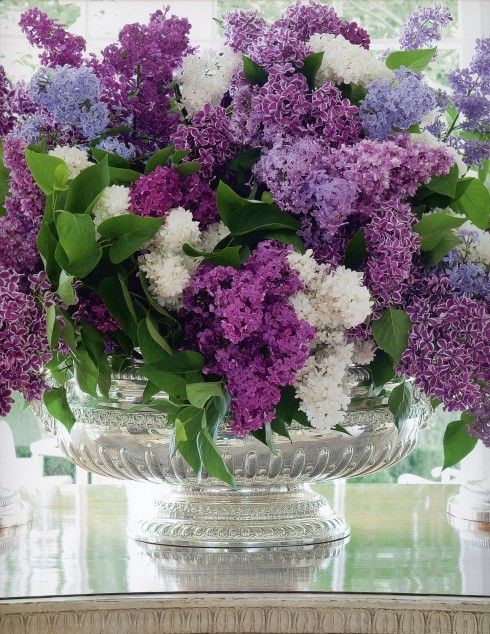 Carolyne Roehm #lilacs
