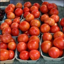 Whether you are a beginner at growing vegetables or a Master Gardener, these tips for growing tomatoes will help you increase your yield and produce…
