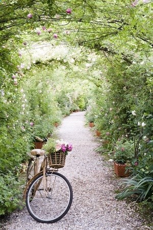 beautiful path to ride…