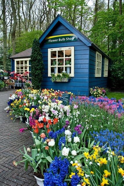 GARDEN SHED