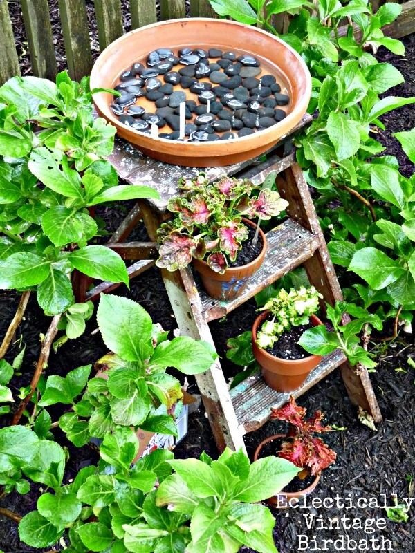 Step Ladder Garden
