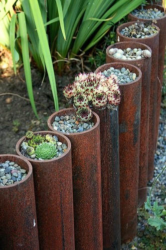 A very cool idea for edging a bed.