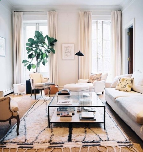 Fiddle Leaf Fig, a member of the ficus family. Great indoor plant.