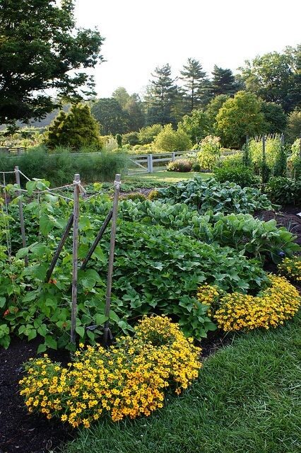 Add Curb Appeal for the Vegetable Garden: plant flowers at the ends of the rows!