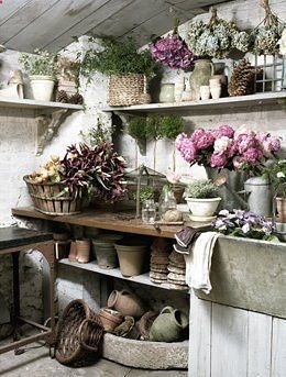 Potting Shed……