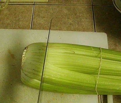 Did you know you can re-grow celery from the bottom piece you cut off? Just chop it off, set it in a saucer of water, and in the next day or so, plant it in the garden. Within days celery shoots are growing. You may never have to buy celery again! from ChicksintheRoad – #garden #gardening #celery #growing #sprouting #propagation #vegetable – t