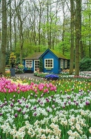 Small blue house among the trees and flowers.