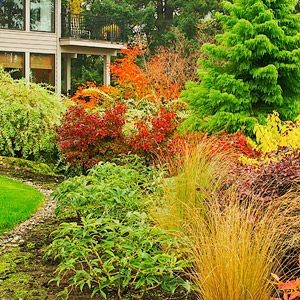 Ideas for making your yard a brilliant display of color and texture using low-maintenance plants and design ideas.