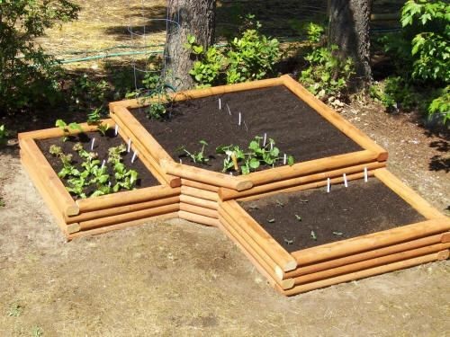 Raised Bed Garden Plans