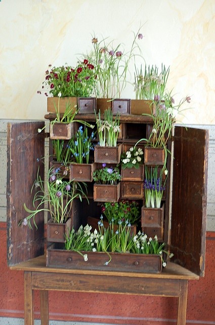 Such a cute idea!