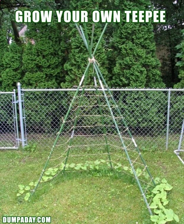 Grow your own tee pee! Maybe add a hanging plant from the top and do climbing peas around the bottom.